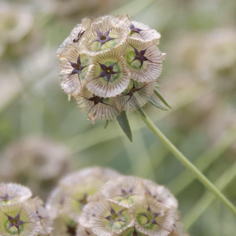 Ferme de l'Héritier