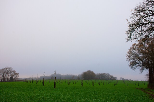 Galerie - Les Hautes Tiges