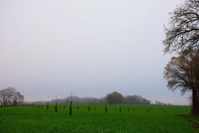 Galerie - Les Hautes Tiges