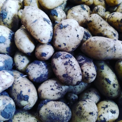 La Ferme des Tilleuls