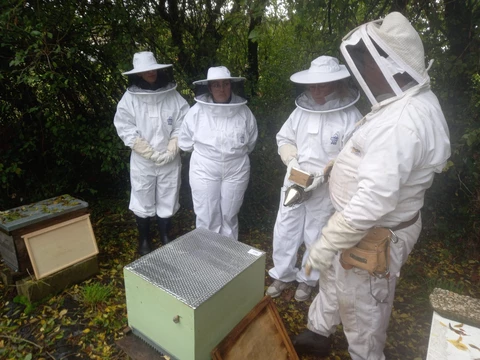 vivre avec l'abeille