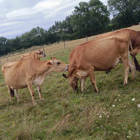 La Ferme des Muses