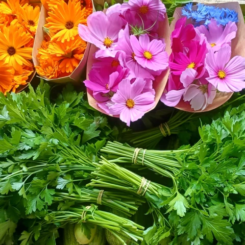 GAEC les petits bregeons