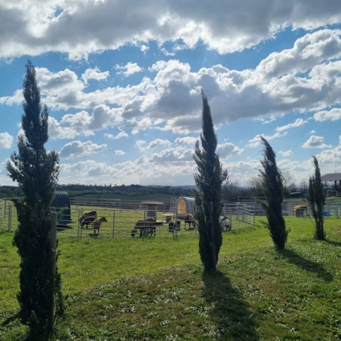 Le Marché des Gônes