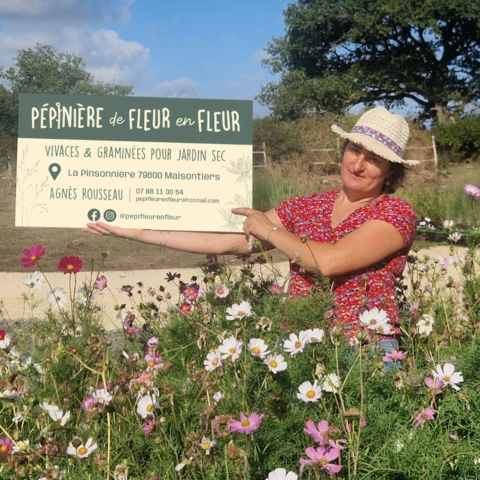 PEPINIERE DE FLEUR EN FLEUR