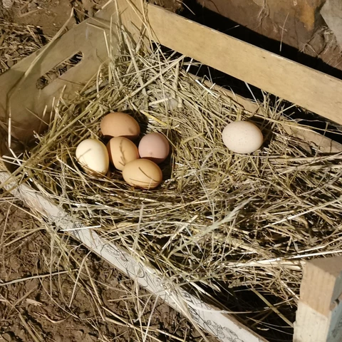 La Ferme des Bernadous