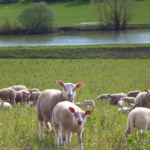 Ferme de l'Héritier