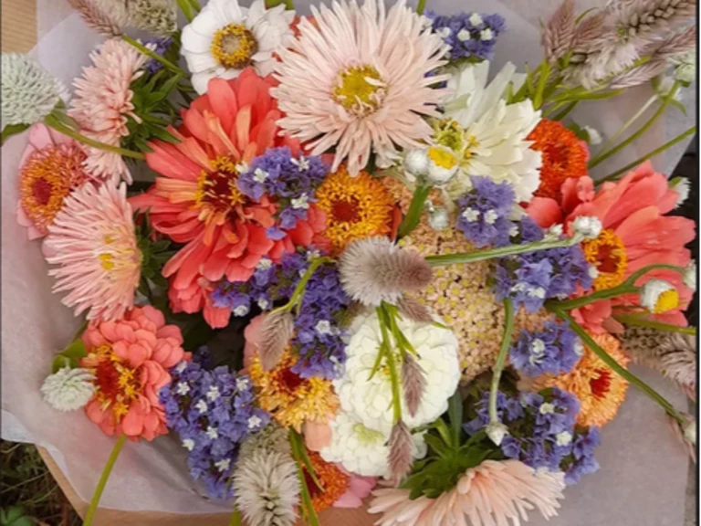 Offrez(-vous) un bouquet - Ferme florale du Salabert