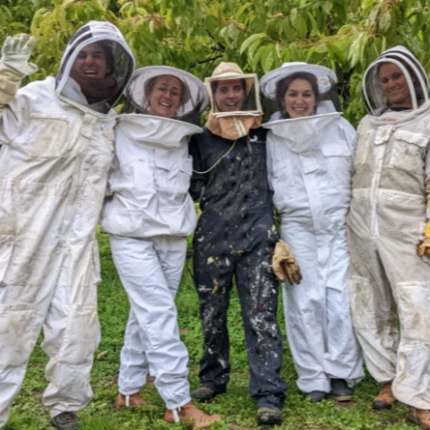 Pauline Pollen - Apicultrice