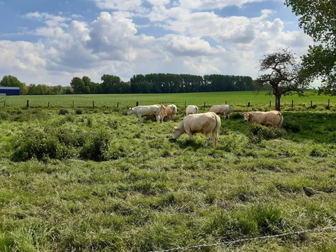 Ferme auberge du Pré Molaine
