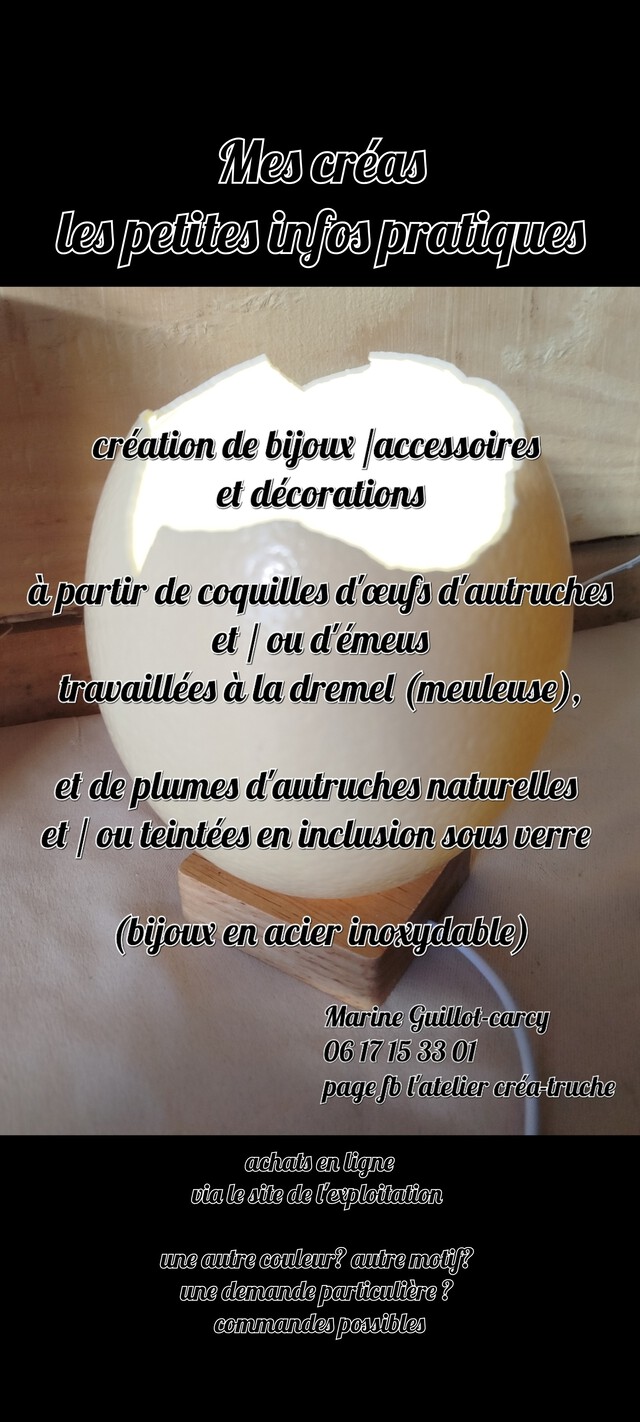 Galerie - LA BALADE DES AUTRUCHES