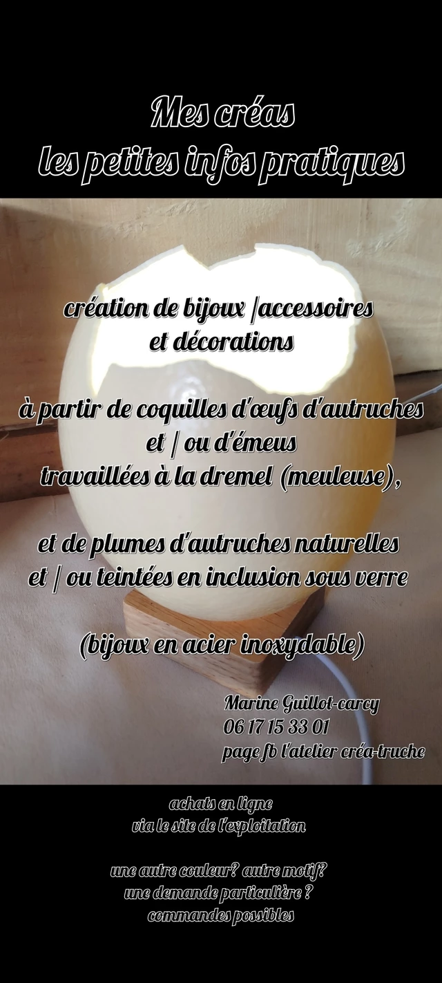Galerie - LA BALADE DES AUTRUCHES
