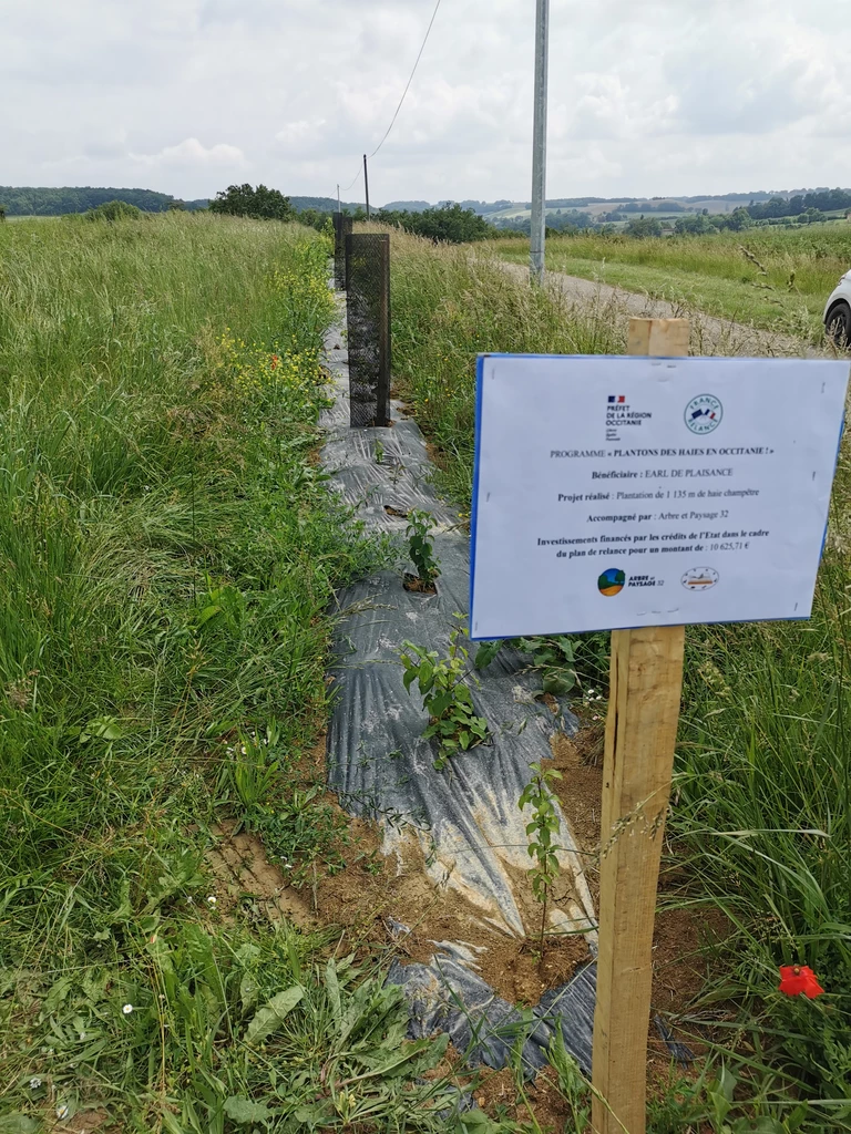 Des haies autour des parcelles - La Ferme de Romane, EARL de Plaisance