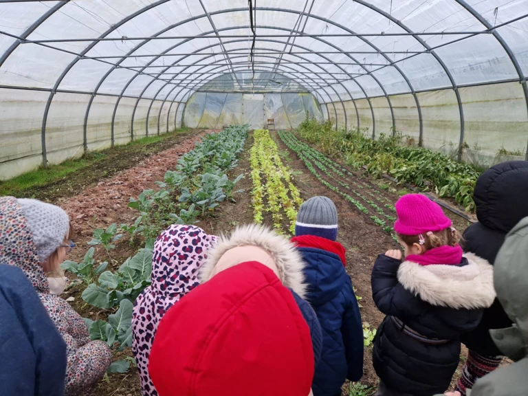 Bienvenue chez votre maraîcher, au service de votre santé ! - Jardin d'E-Den