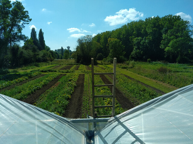 Galerie - Ferme FrancBec