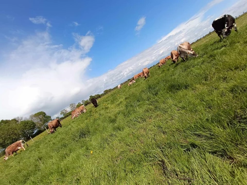 La Ferme des Muses
