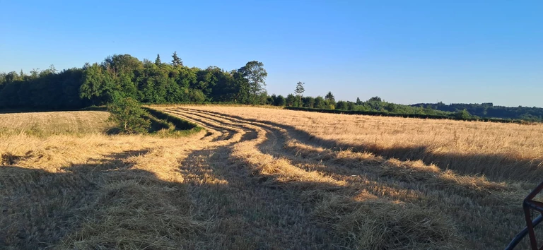 Notre ferme - LA FERME DU CHEYRON