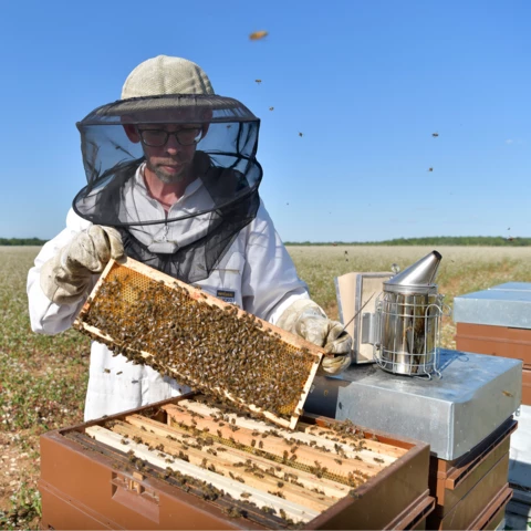 Contrôle des hausses - RUCHERS DU FOURNEAU