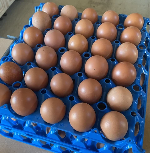 GAEC les jardins du mas serra