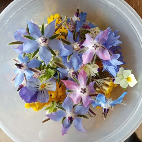 Les Maraîchers de l'Auberdière