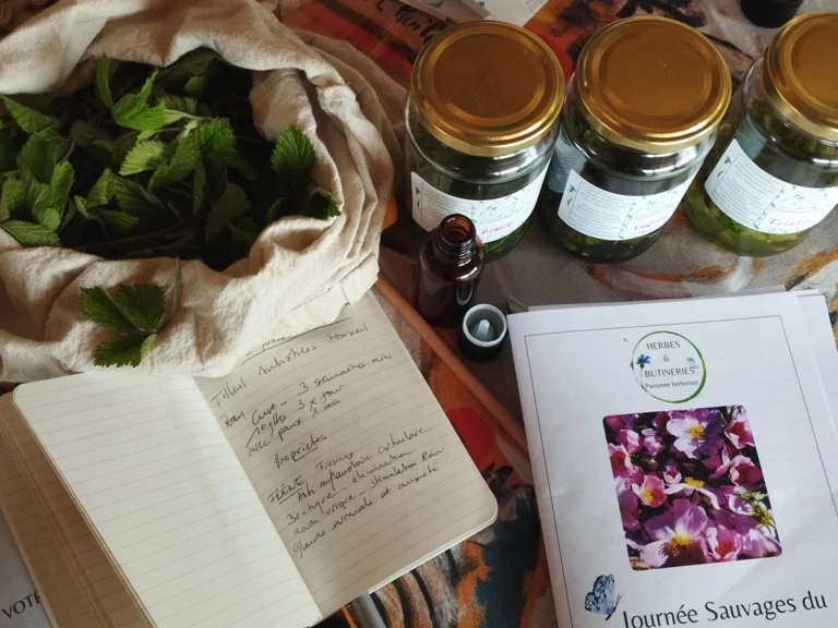Ateliers d'herboristerie - Herbes et Butineries