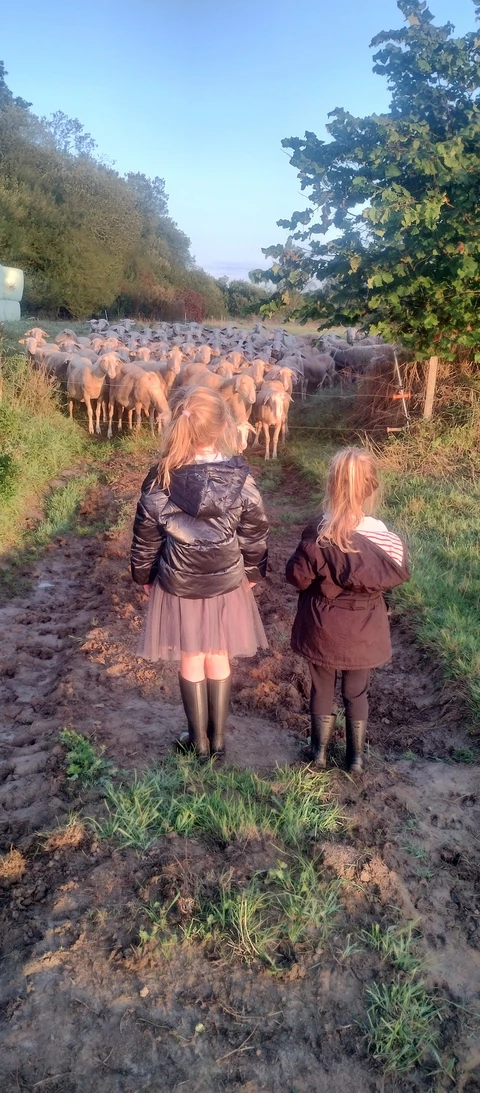 Bergerie de Kroaz Min