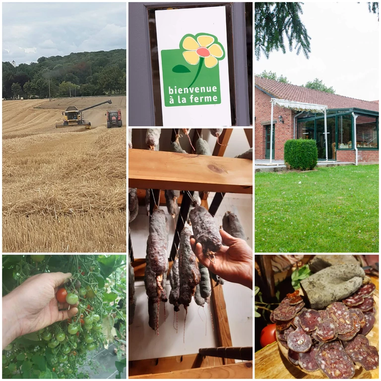 Point de vente à la ferme : acheter local, consommez local !  - Ferme auberge du Pré Molaine