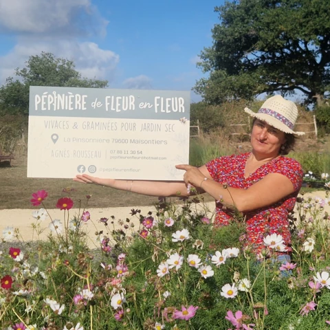 PEPINIERE DE FLEUR EN FLEUR