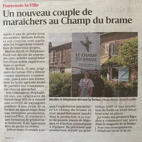 Le champ du brame