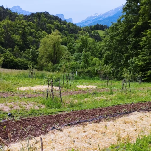 Herbes et Butineries