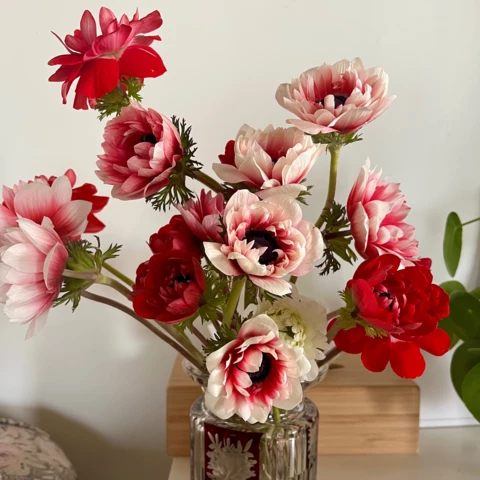 Ferme florale de la Galagère