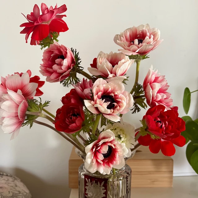 Galerie - Ferme florale de la Galagère