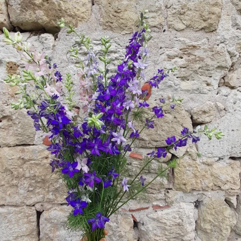 Ferme florale du Salabert