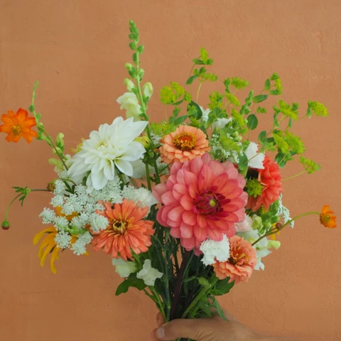 Ferme florale du Salabert