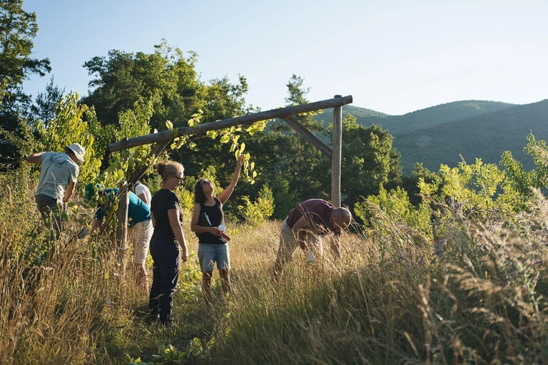 L'écosystème Alvéoles - L'Asso des Alvéoles