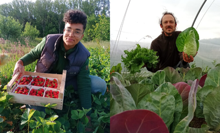 Bienvenue à la ferme des z'amis !