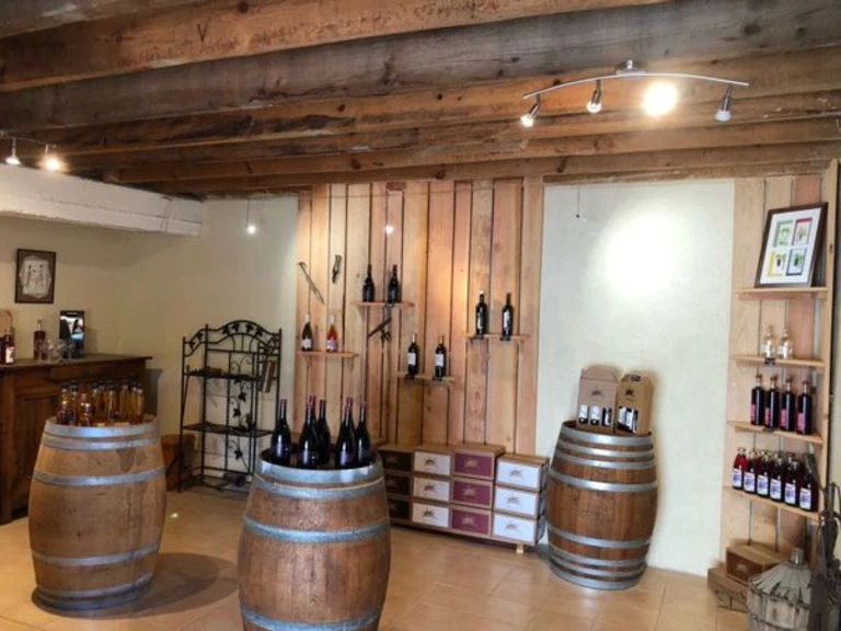 Cave de dégustation - Domaine du Souleillan