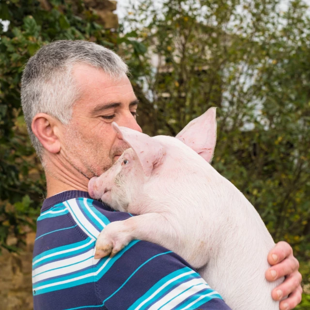 Galerie - Ty Pig