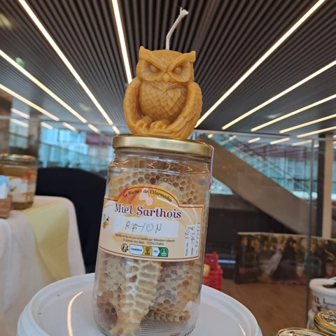 vivre avec l'abeille