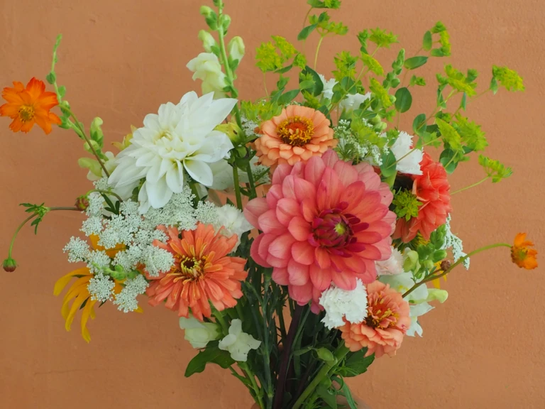 Des fleurs bio et de saison - Ferme florale du Salabert