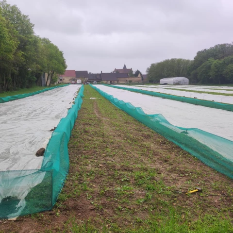 Les Cagouilles de Cornou