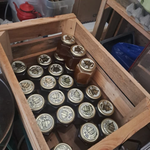 vivre avec l'abeille