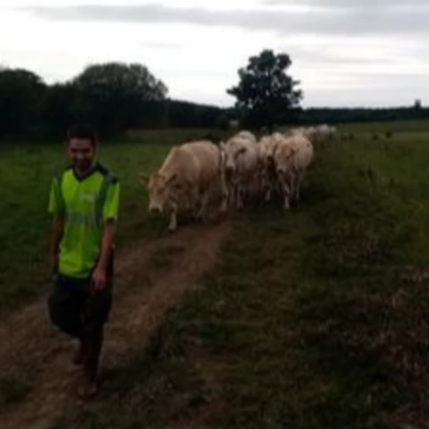 LA FERME DU COUEDIC