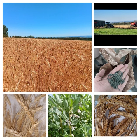 La culture - MOULIN TRACOL