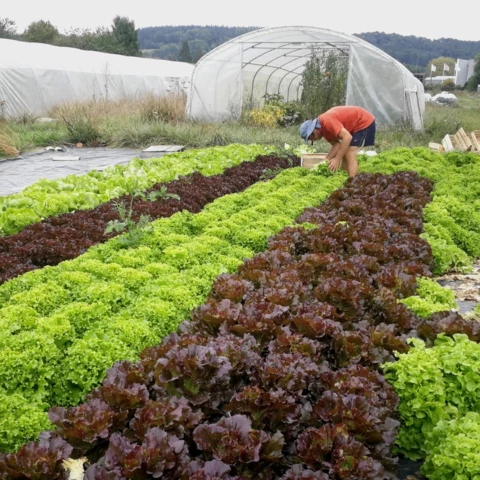 Ferme des Annélides