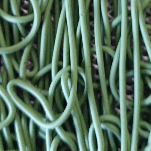 Spiruline ar milin