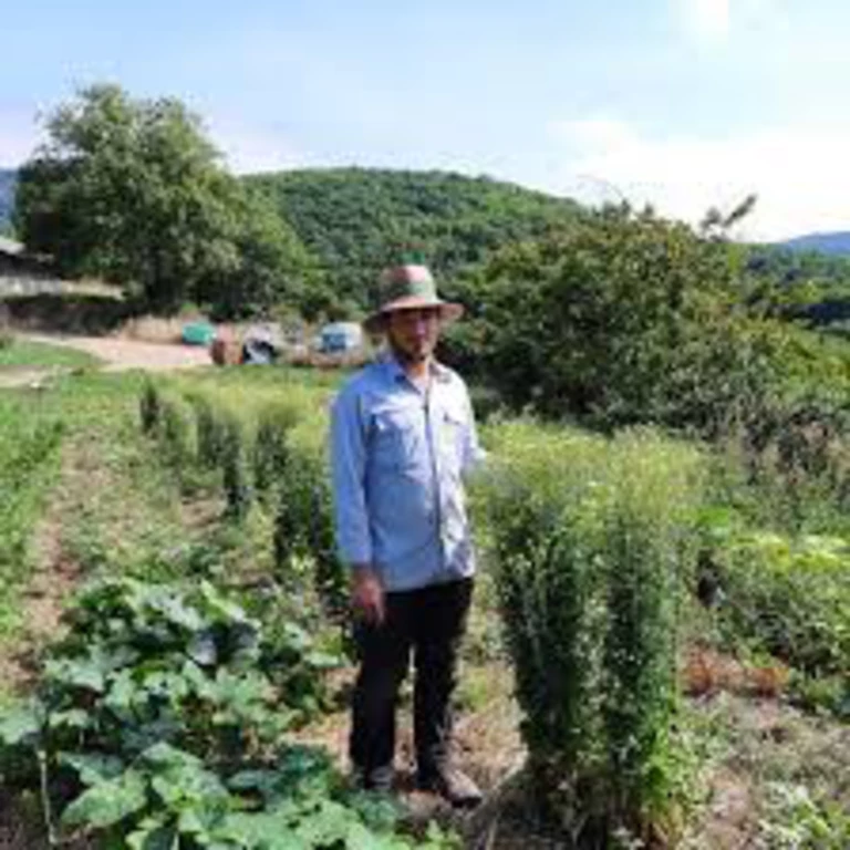 Mon histoire - Les Jardins d'Emilien