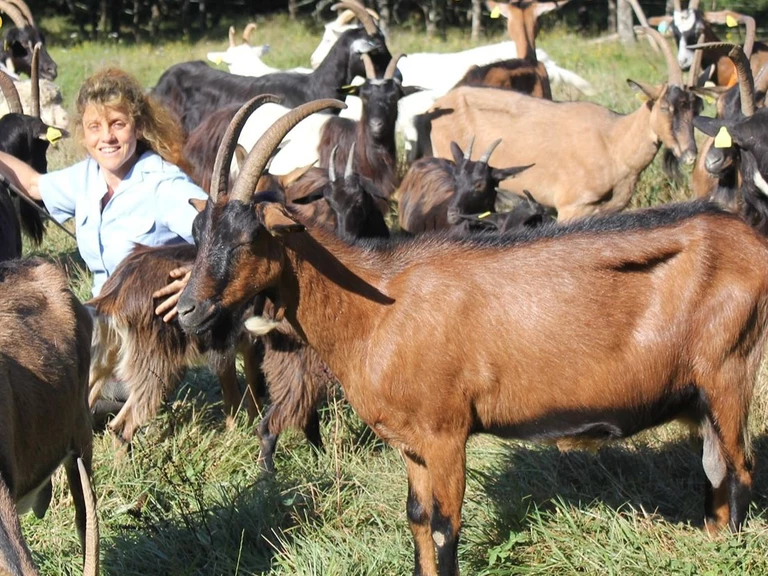 FERME DE L'HESCO -