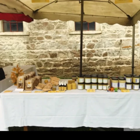 Pauline Pollen - Apicultrice