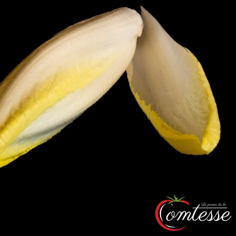EARL LA COMTESSE
